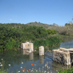 Ruta del arroz en el parque natural del marjal de Pego-Oliva