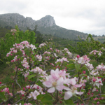 La Forada, Benissa, la Vall de Gallinera