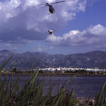 Parque natural de la marjal Pego-Oliva