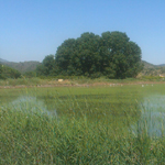 Pego Natura S.L