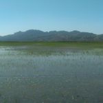Pego Natura S.L